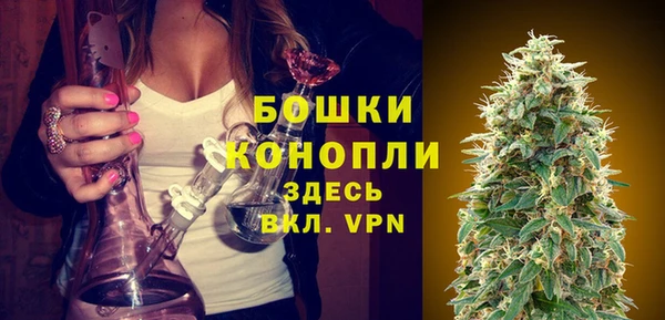 винт Белокуриха